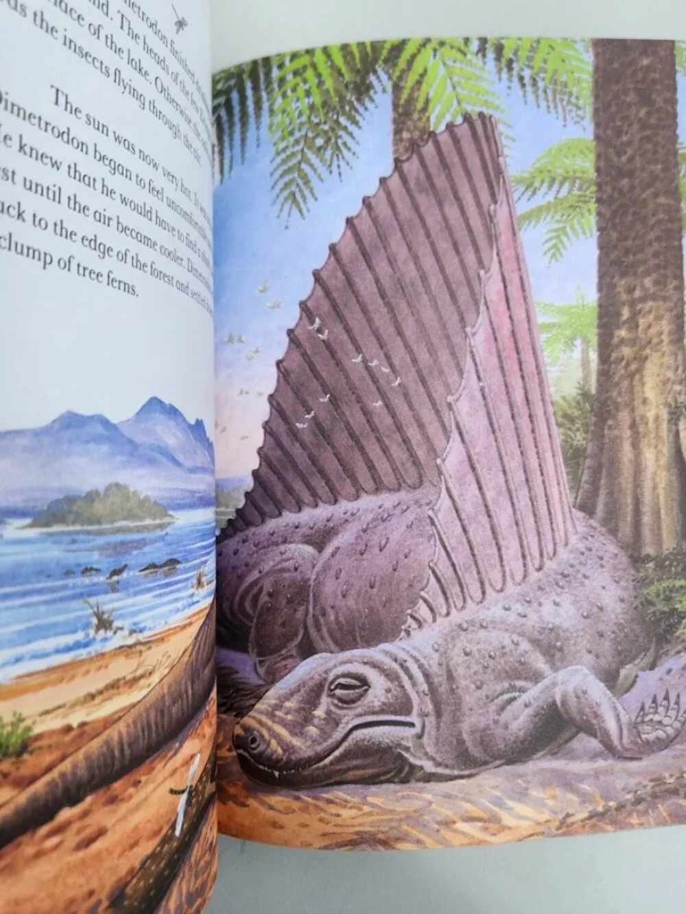 Vintage Dinosaurs And Prehistoric Creatures Education Learning Hardcover Book 97